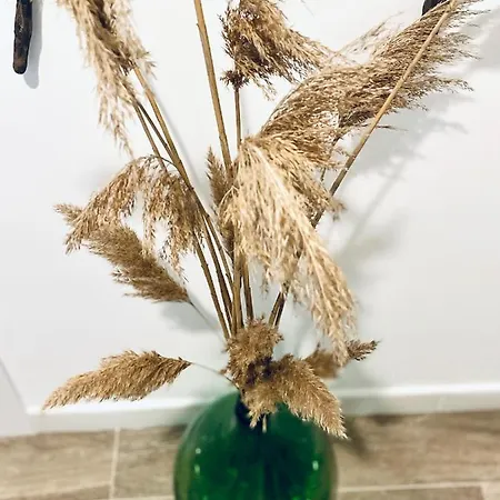 Appartement Wanderlust